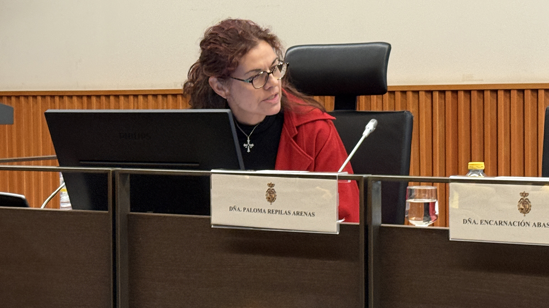 Paloma Repila en la jornada sobre COVID persistente en el Congreso de los Diputados